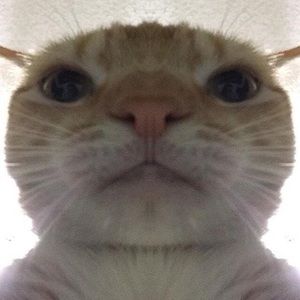 Meet your Posher, Kewald